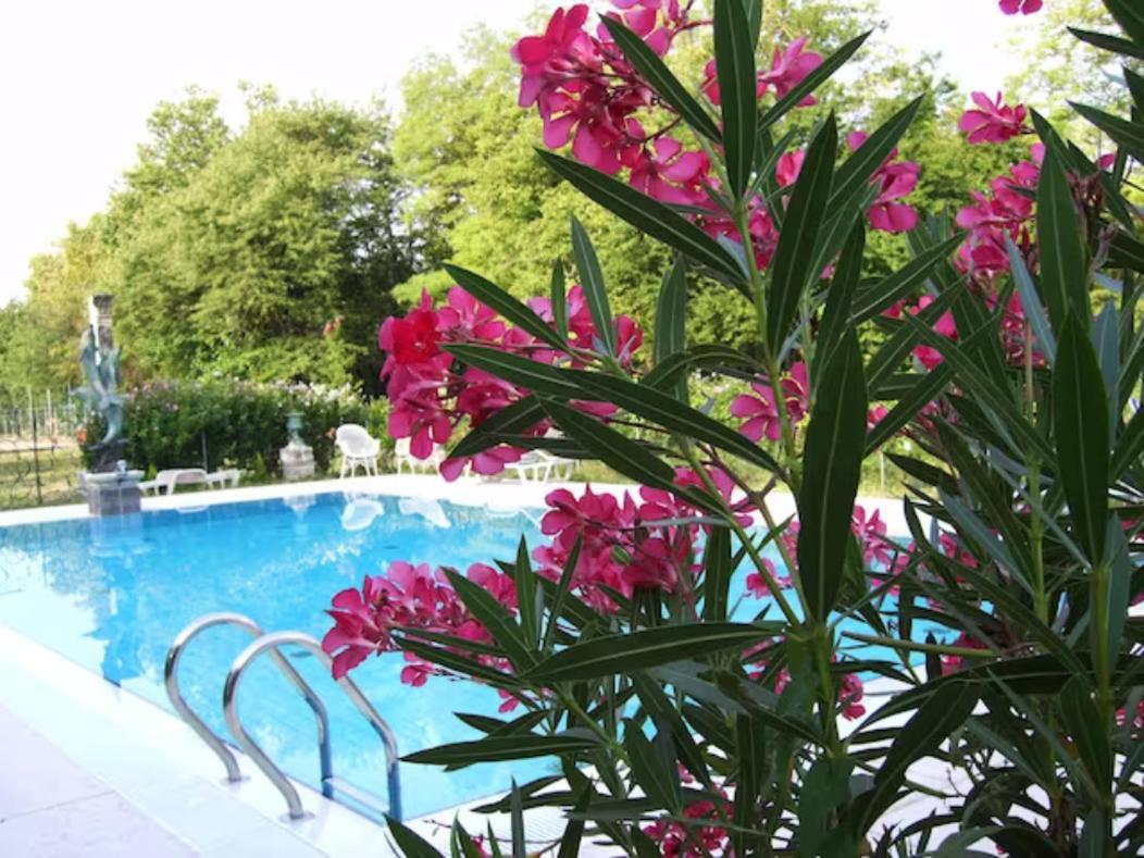 Villa Navagero Erizzo - Ca' Dei Pasin A Rovare 外观 照片